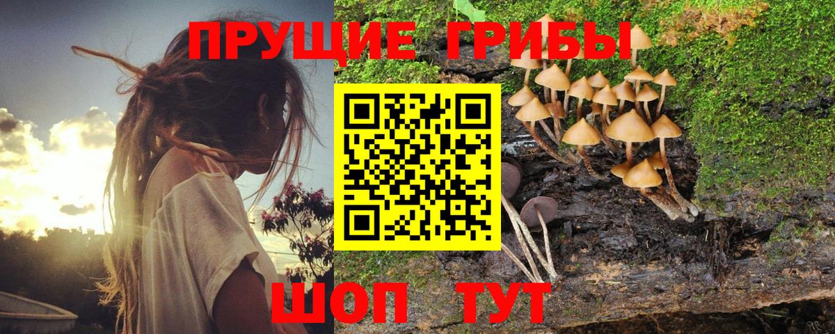 Псилоцибиновые грибы мухоморы Фурманов