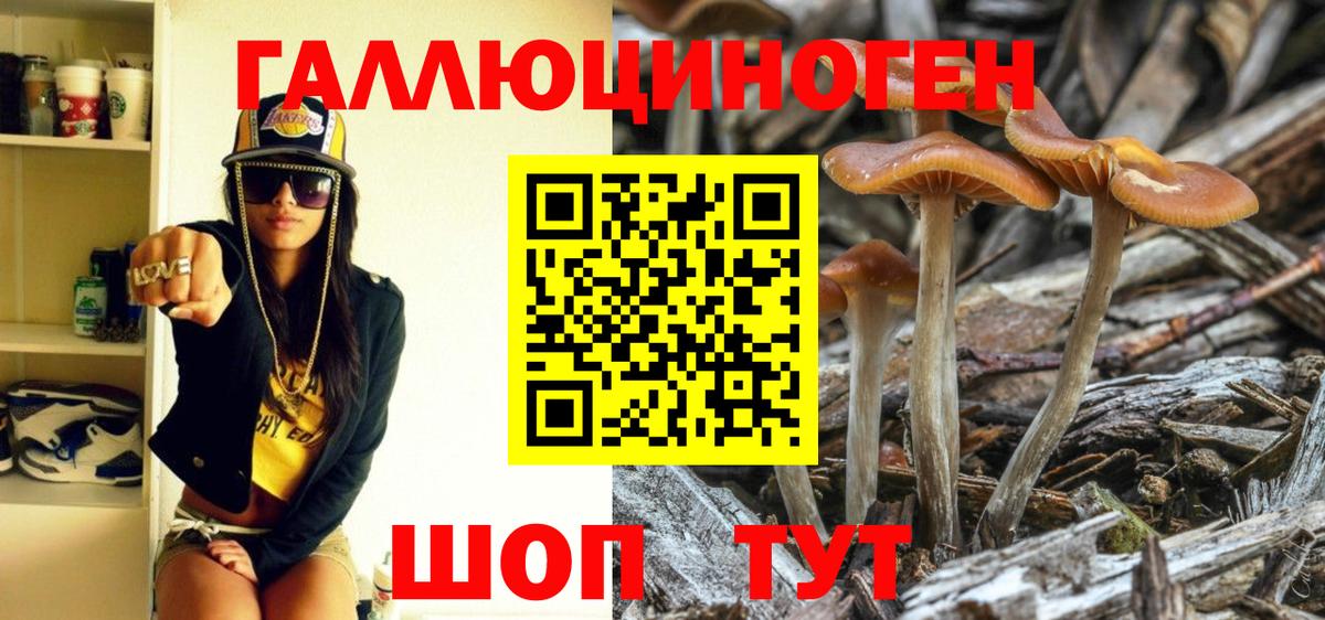 Псилоцибиновые грибы GOLDEN TEACHER  Вход с VPN  где можно купить наркотик  Фурманов 